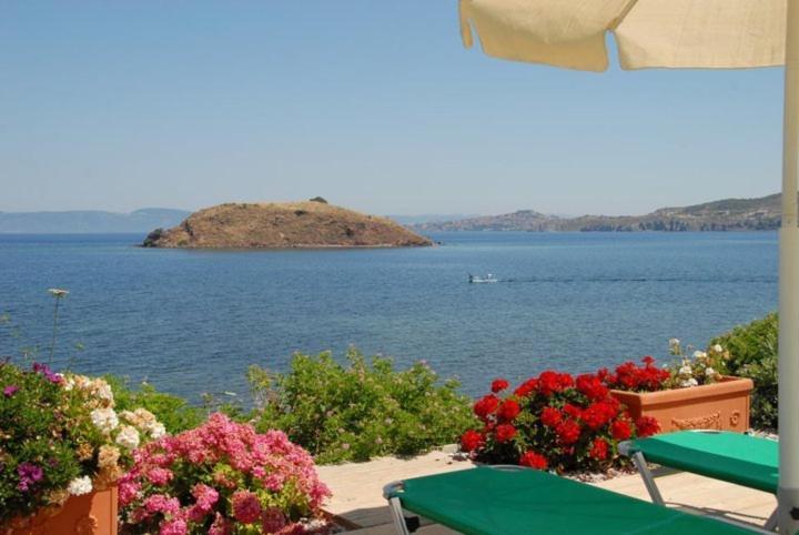 Birds Bay Resort Petra (Lesbos) Exterior foto