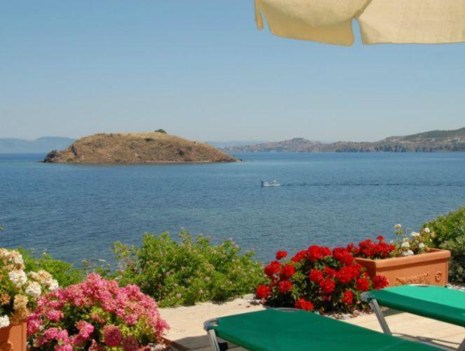 Birds Bay Resort Petra (Lesbos) Quarto foto