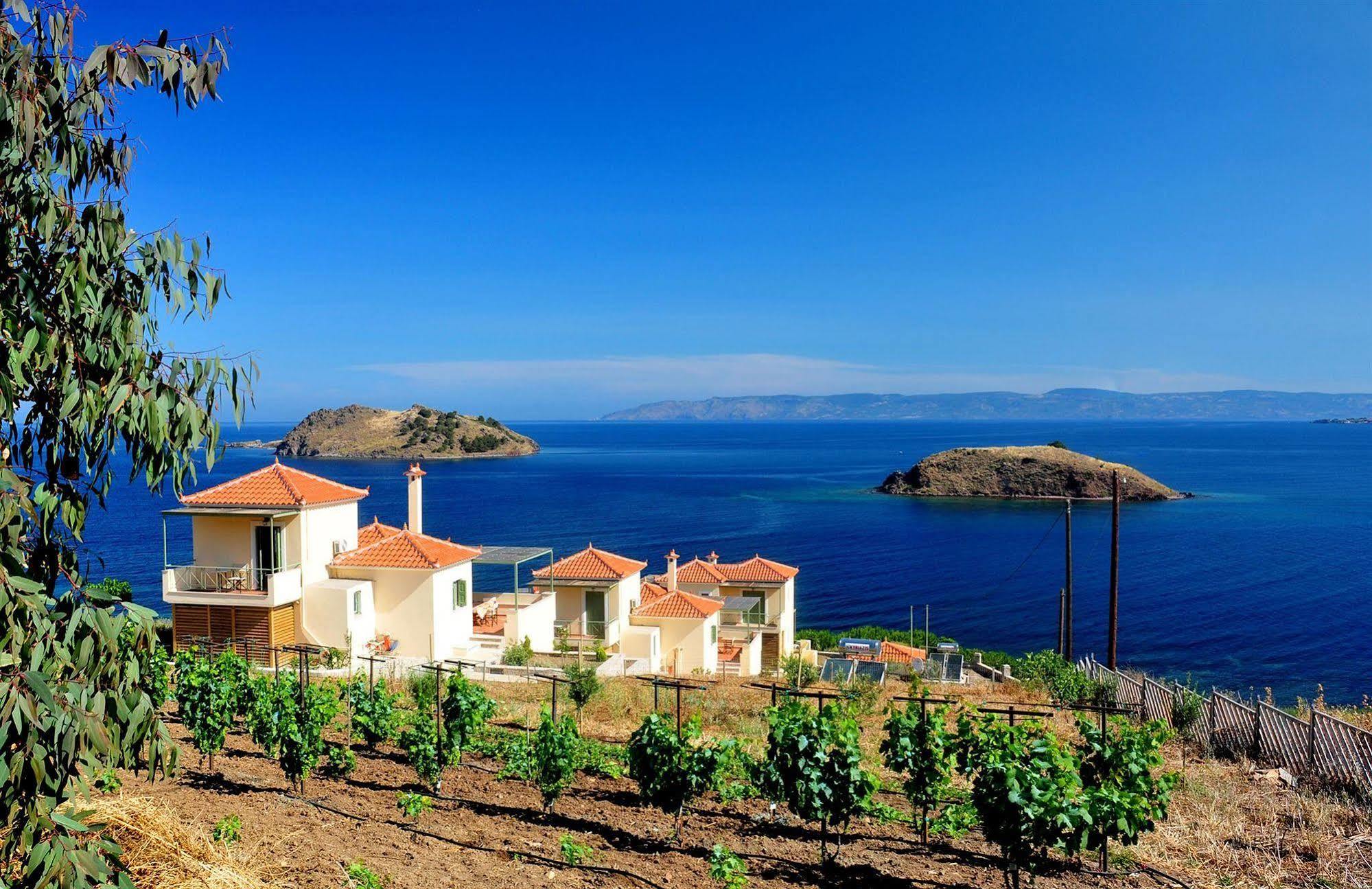 Birds Bay Resort Petra (Lesbos) Exterior foto